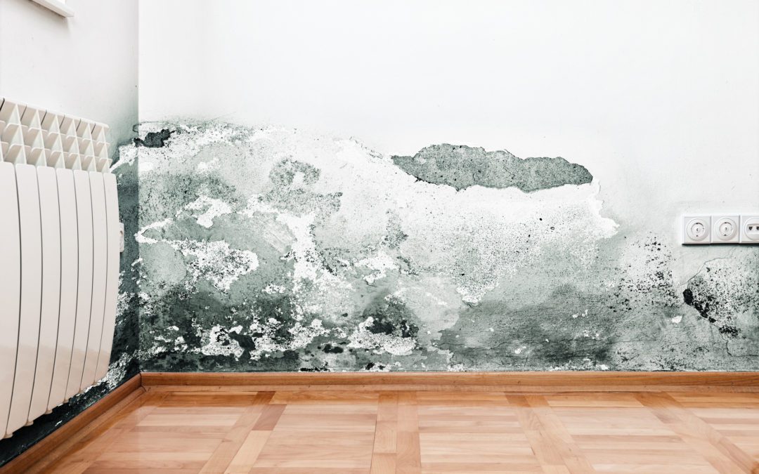 what should basement humidity be
