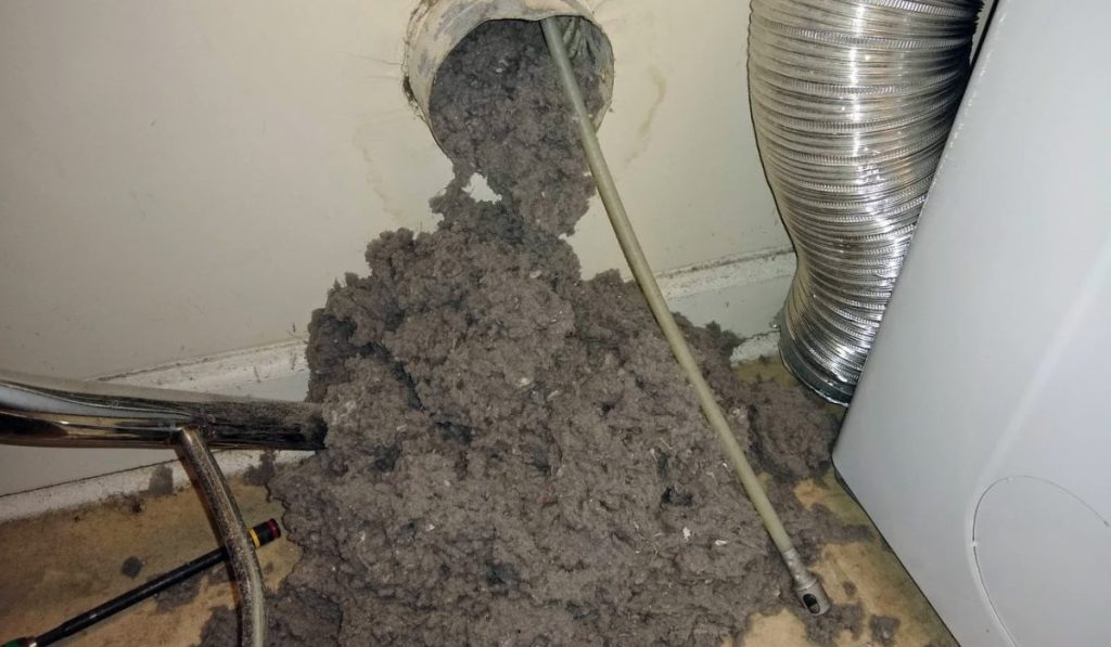 Dryer Vent