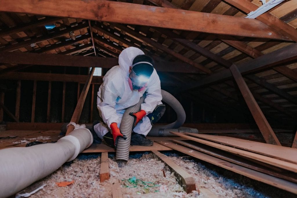 mold in crawl space symptoms