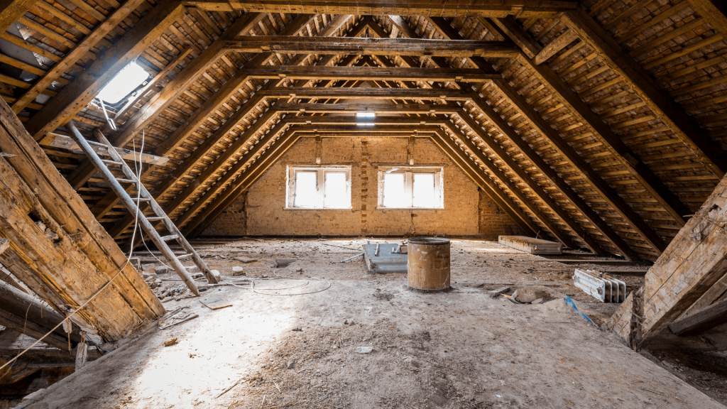 Attic & Crawl Space