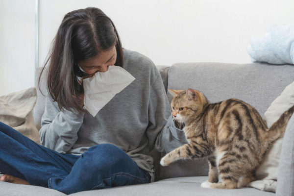 Allergies from Air Duct